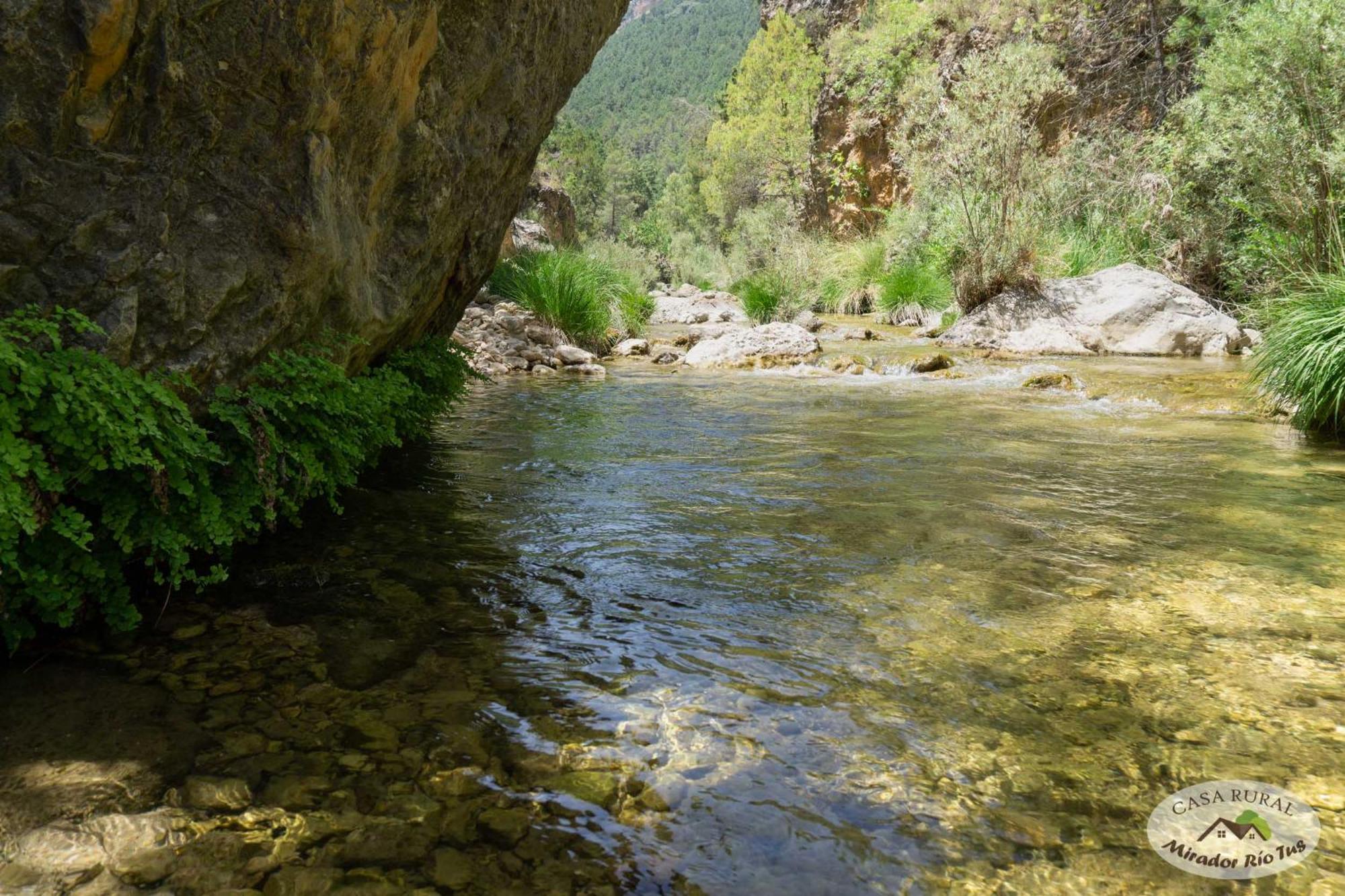Casa Rural Mirador Del Rio Tus, En Yeste Buitenkant foto